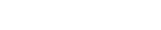 Next Level Workout Supps