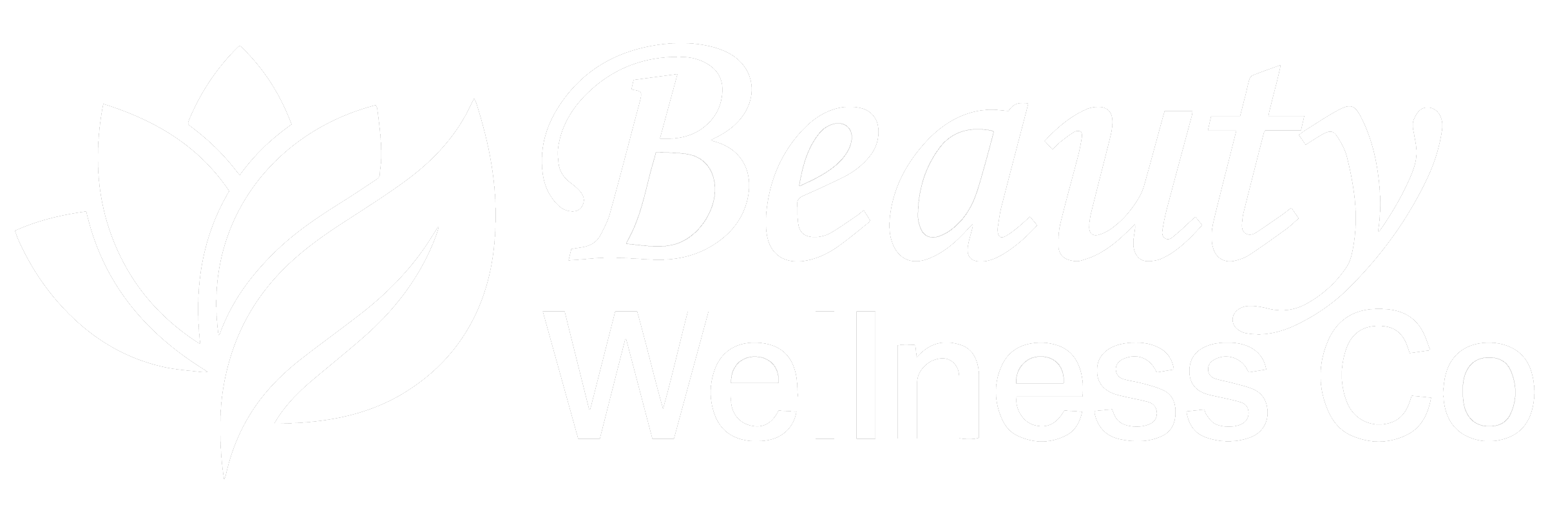 Beauty Wellness Co
