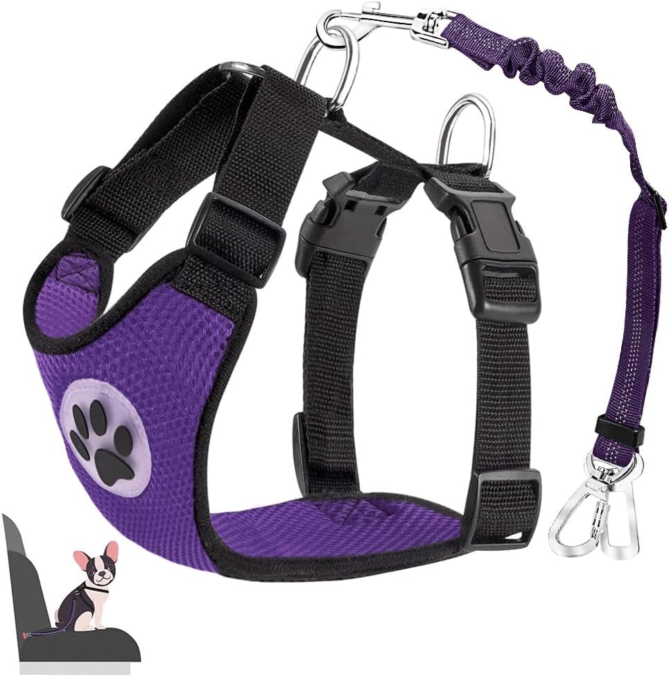 Adjustable Dog Car Harness with Seatbelt and Padded Mesh