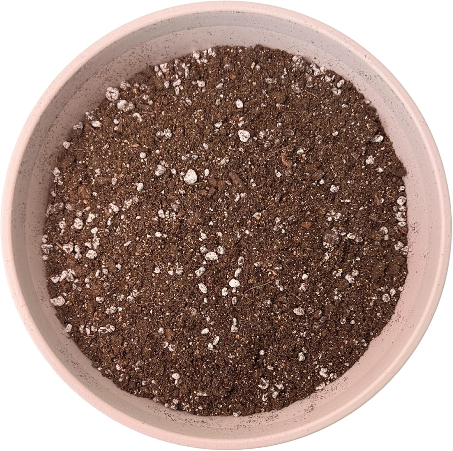 Violet Plant Soil Mix Ready to Use 4 Quarts