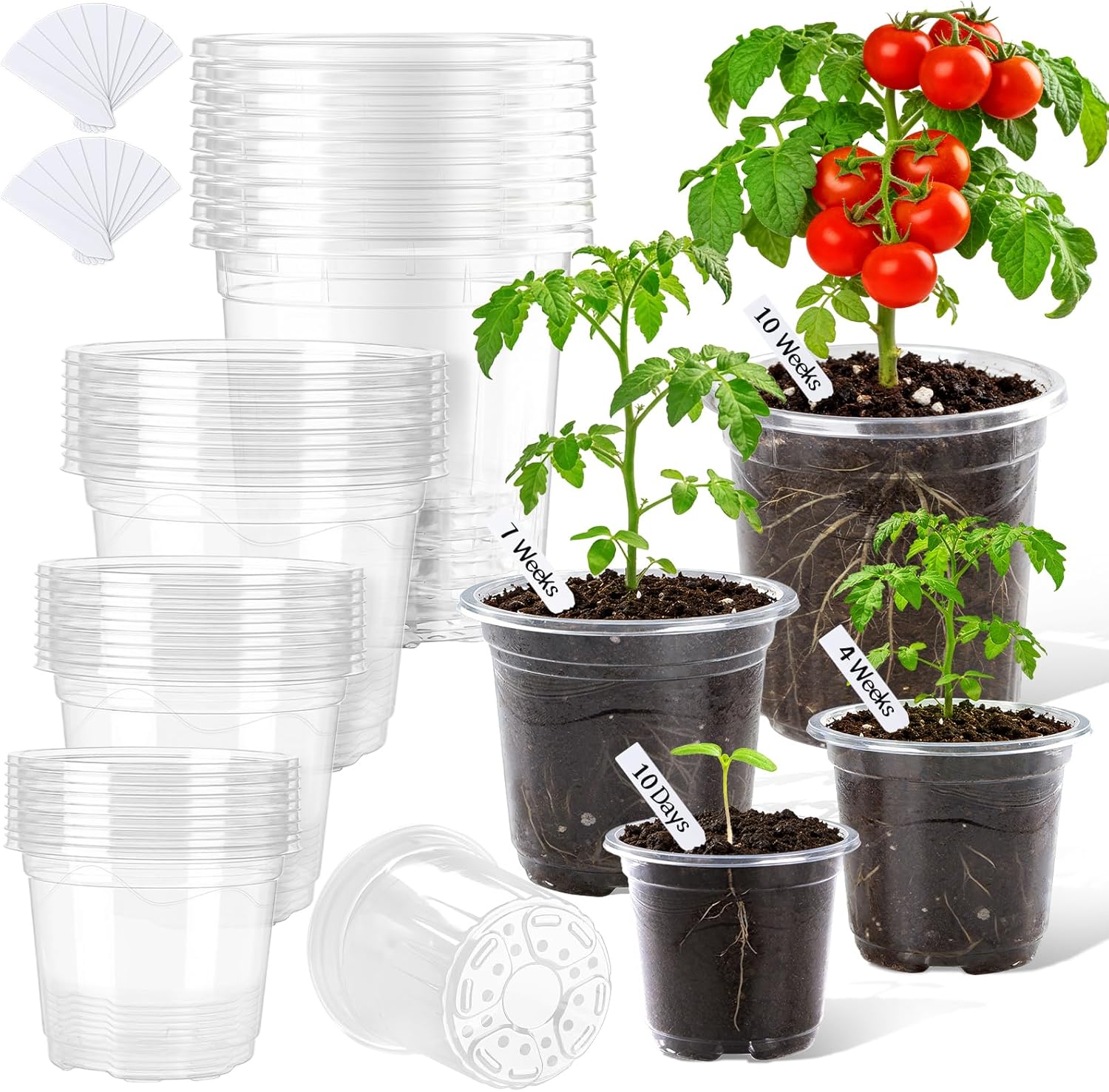 Clear Plastic Nursery Pots with Drainage and Labels Set