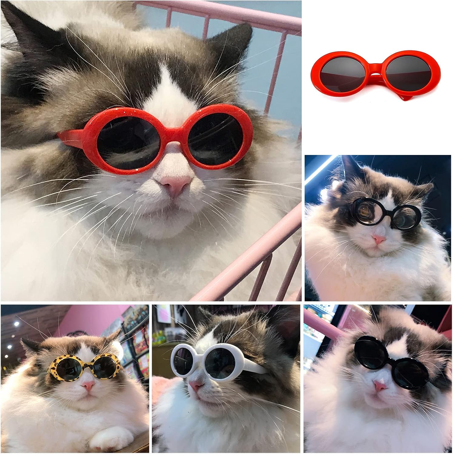 Round Retro Pet Sunglasses for Dogs and Cats