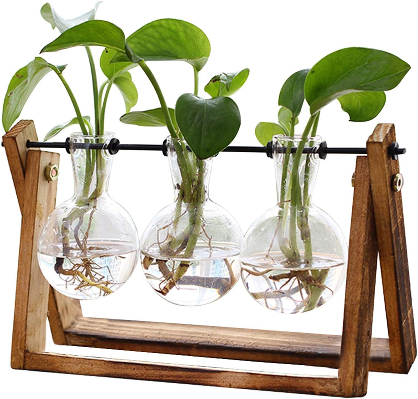 Glass Plant Terrarium with Wooden Stand (3 Bulb)