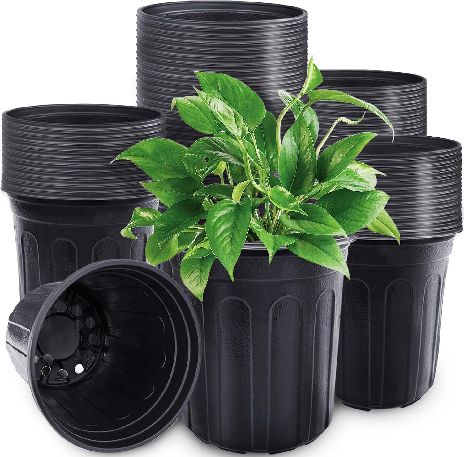 60 Pcs 1 Gallon Plant Nursery Pots,Plastic Seed Starter Pot with Drainage Holes
