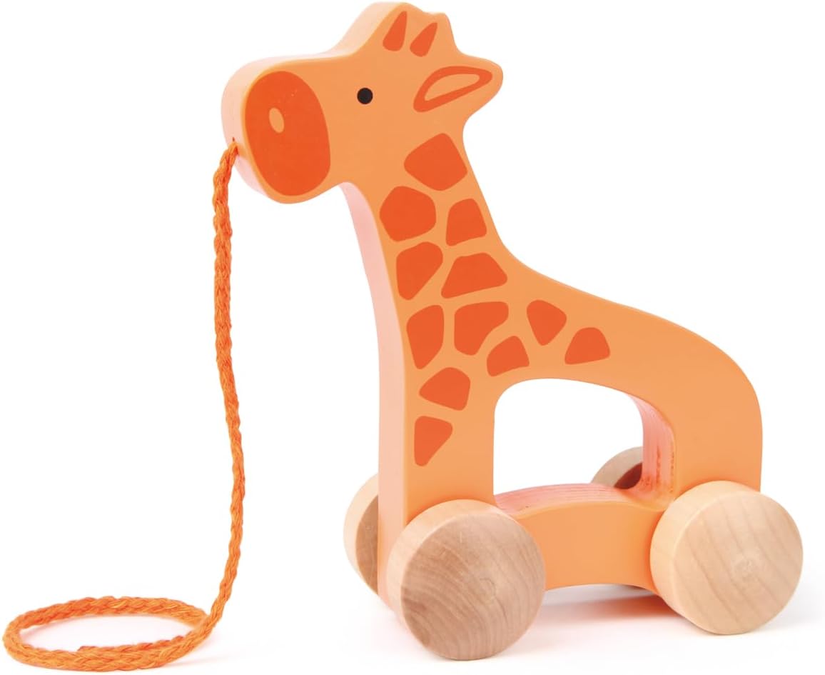 Wooden Giraffe Push and Pull Toddler Toy