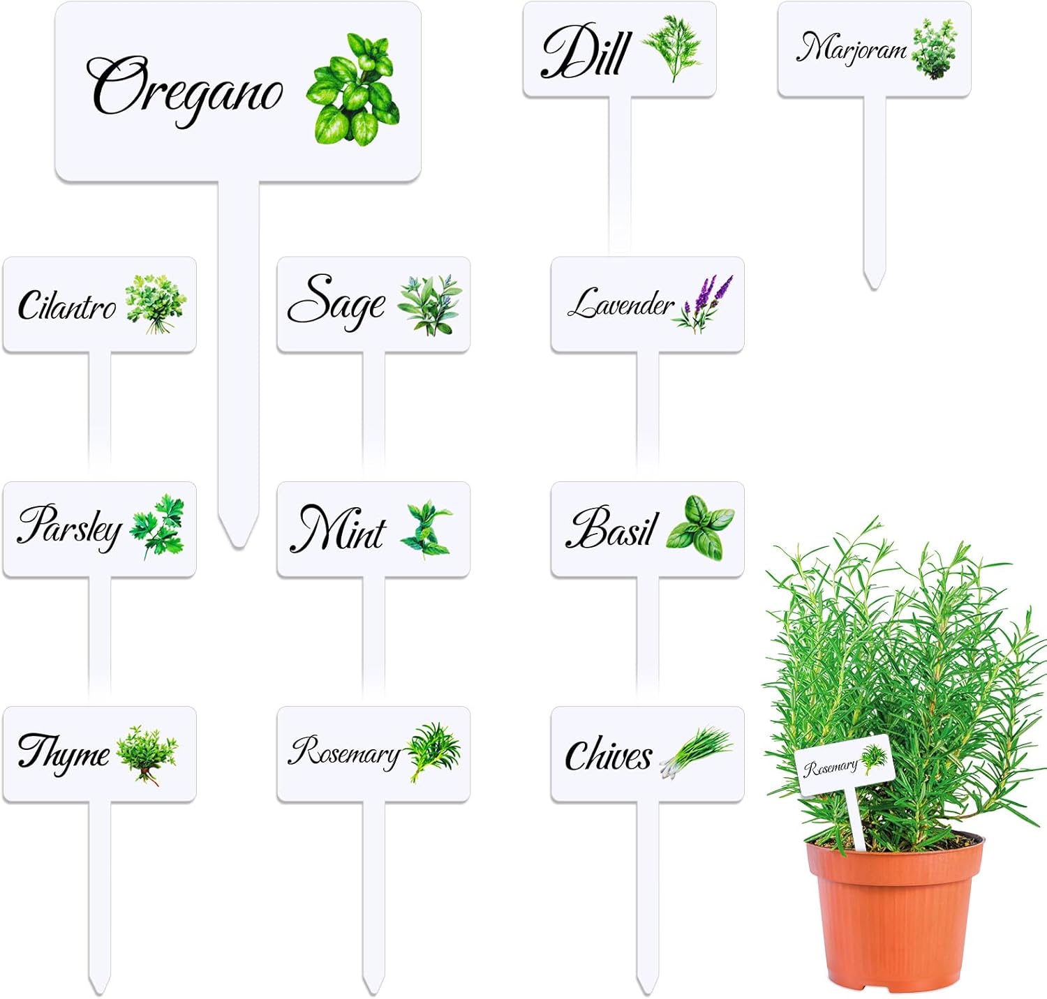 24 Pcs Acrylic Herb Garden Signs Plant Labels Waterproof Reusable Plant Tags