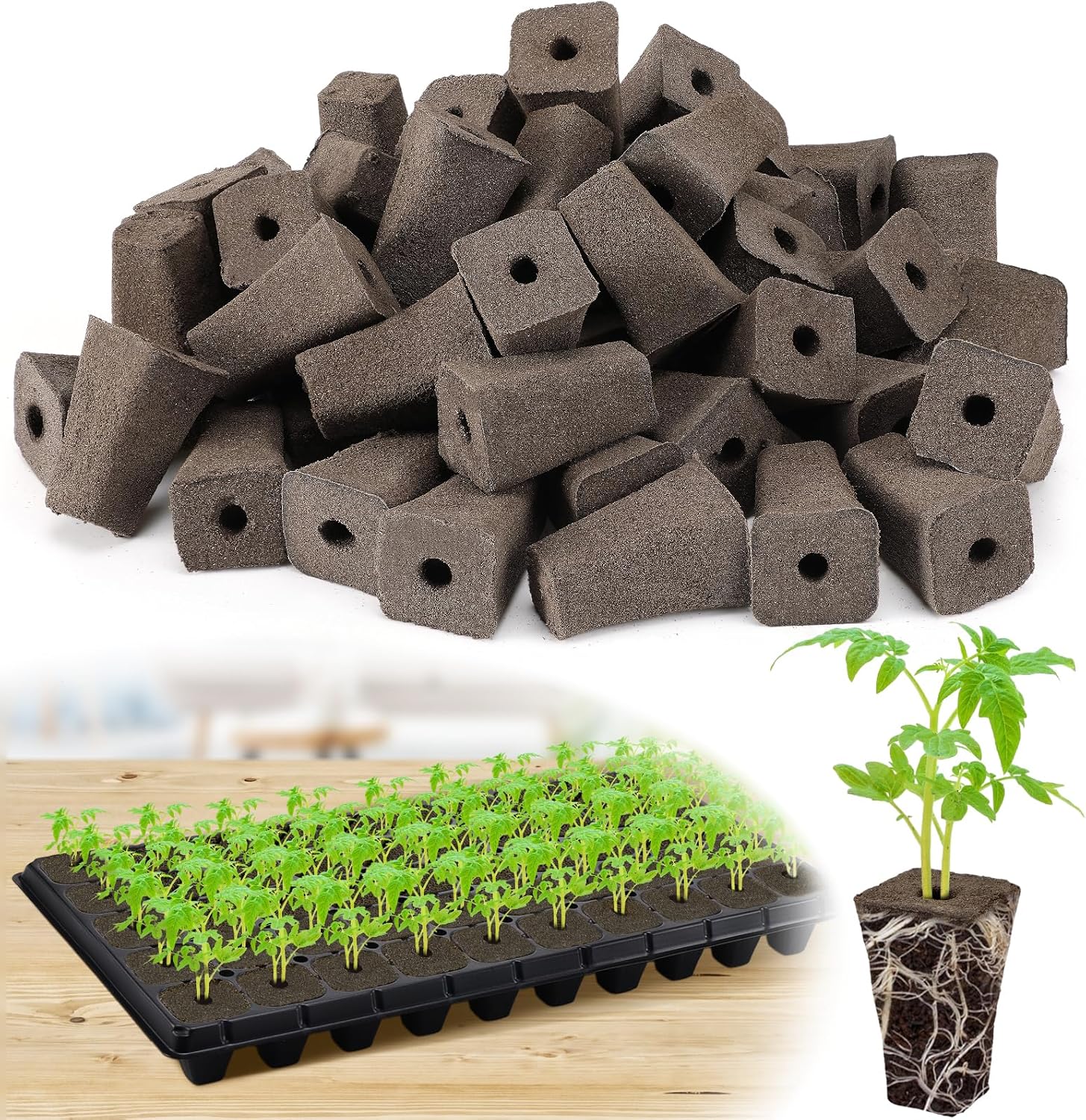 Seed Starter Sponges Peat Moss Rooter Plugs 50 Pcs