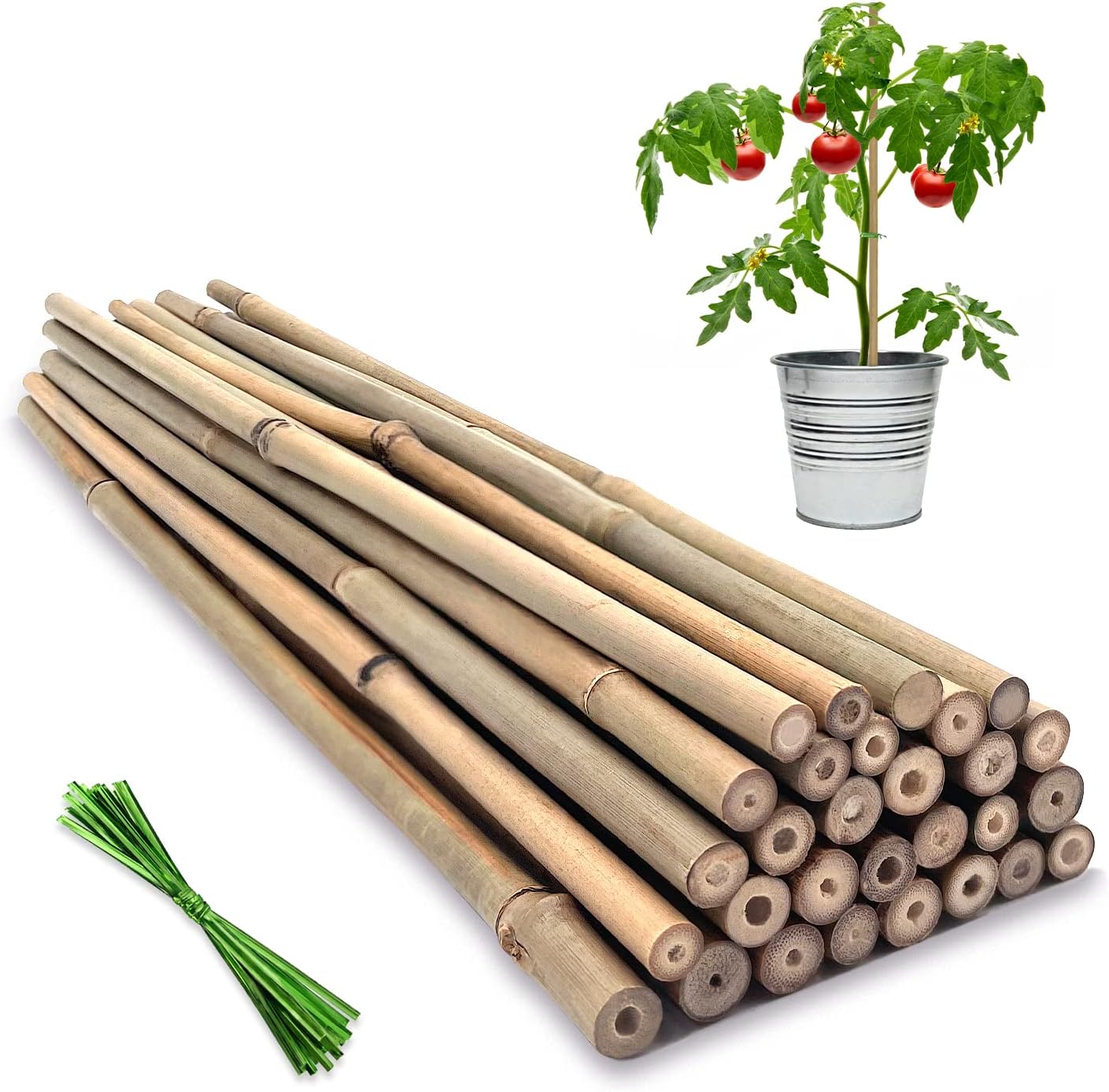 Plant Support Bamboo Stakes, 12 Inches, 20 Pieces