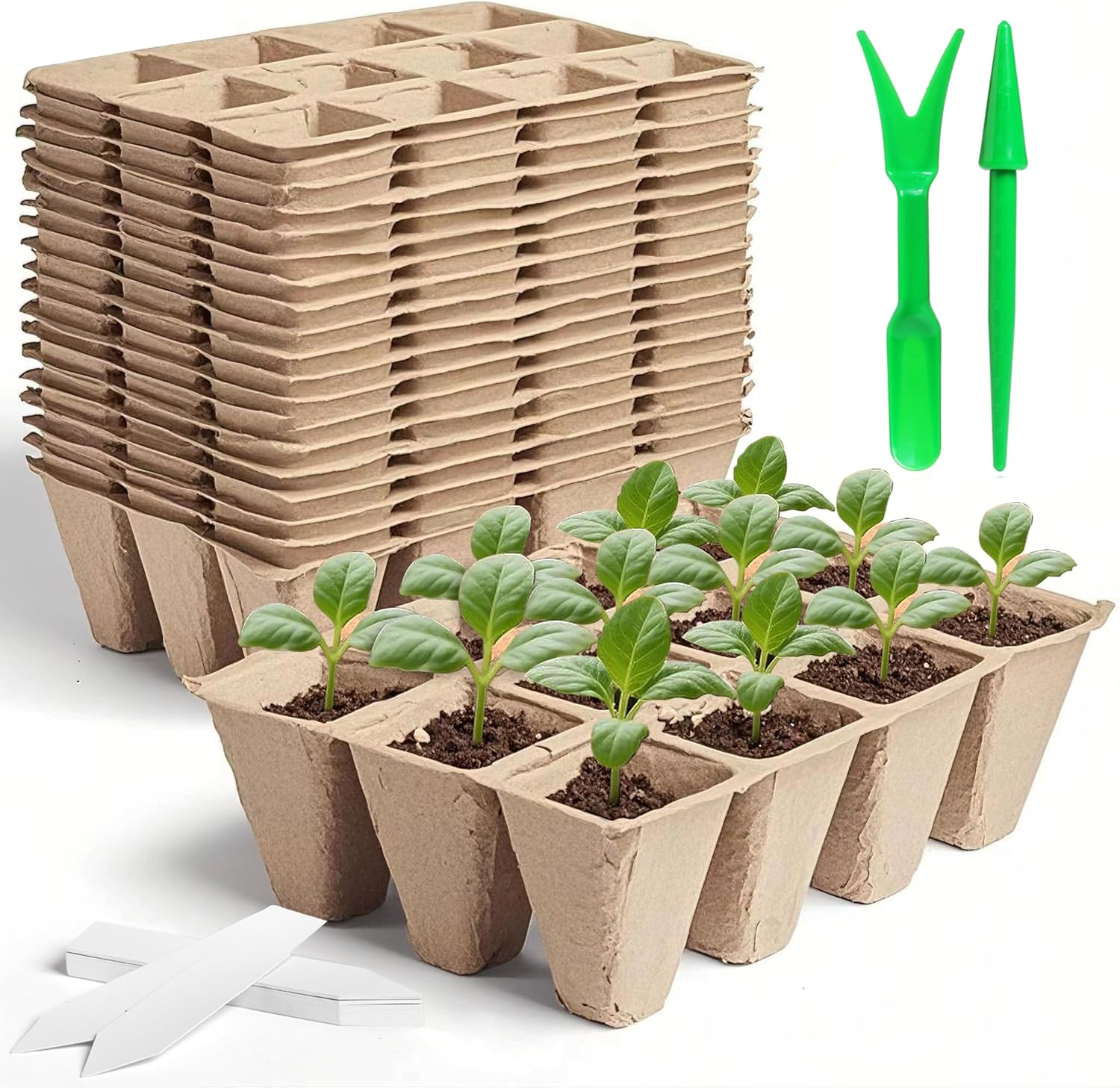 240-Cell Biodegradable Seed Starter Tray Kit