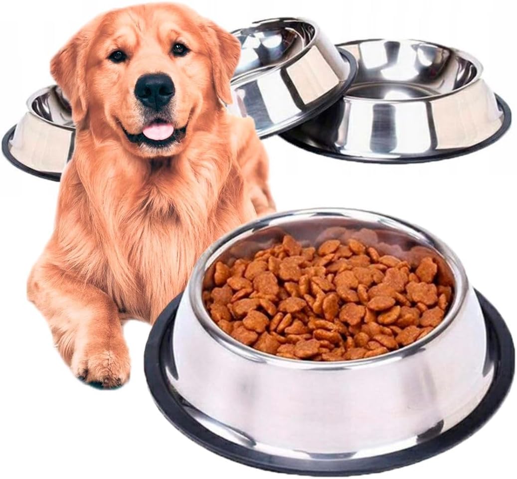 Stainless Steel Dog Bowl with Anti-Skid Rubber Base
