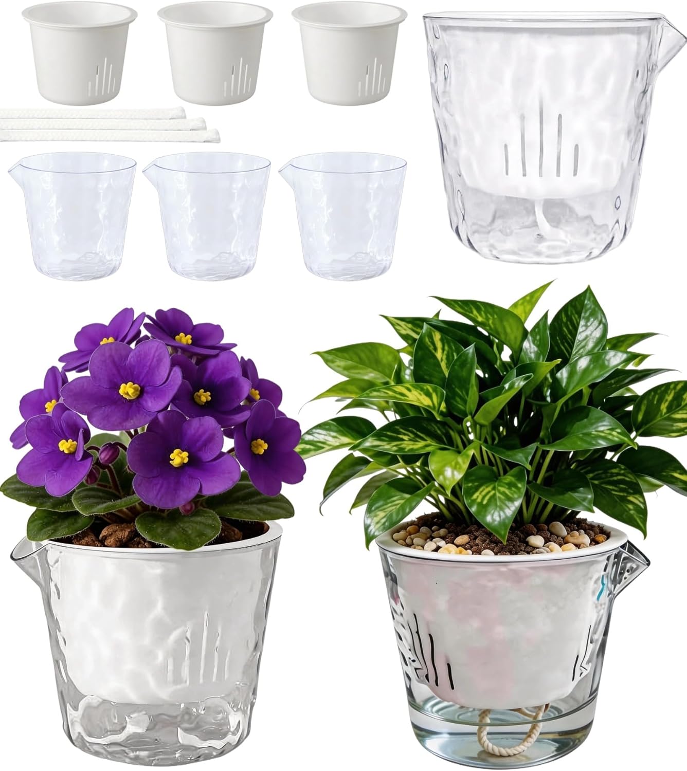 Clear Self Watering Indoor Plant Pot Set with Tray and Rope
