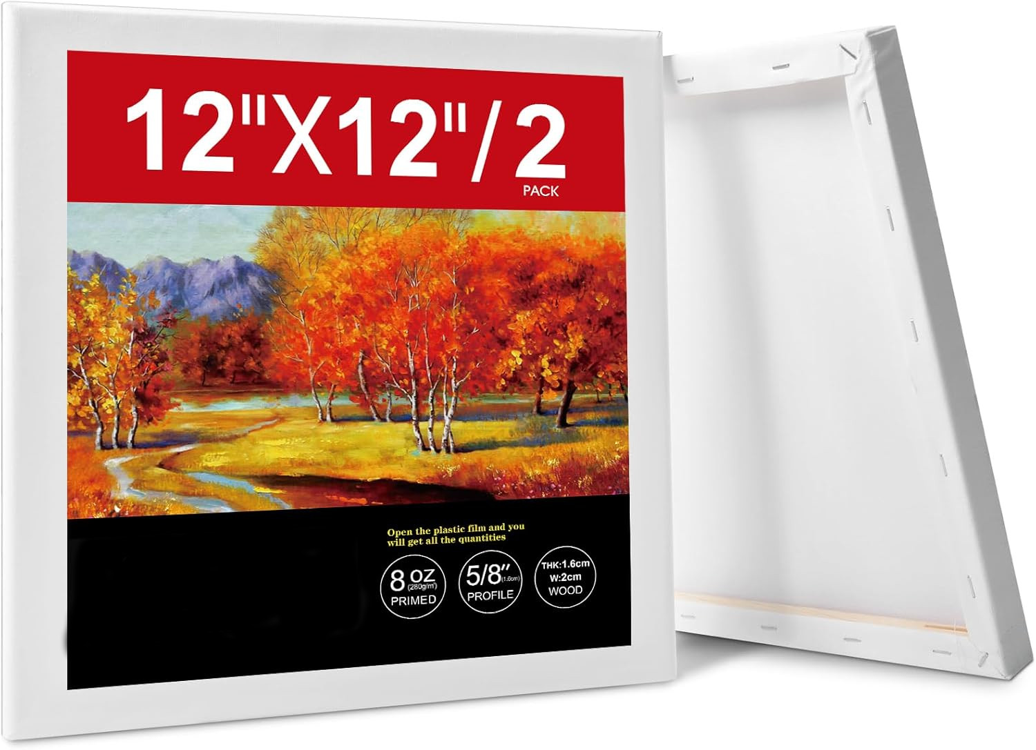12x12 Pre-Stretched Cotton Painting Canvas Pack (2 Pieces)