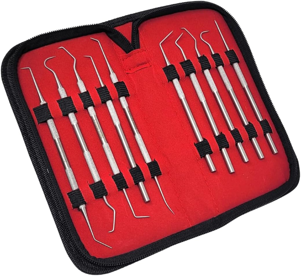 Stainless Steel Dental Cleaning Tools Set 10pcs