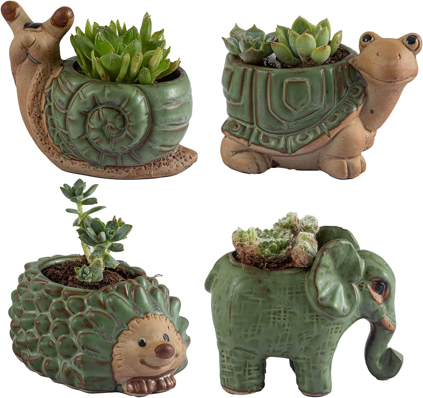 Small Succulent Pots with Drainage