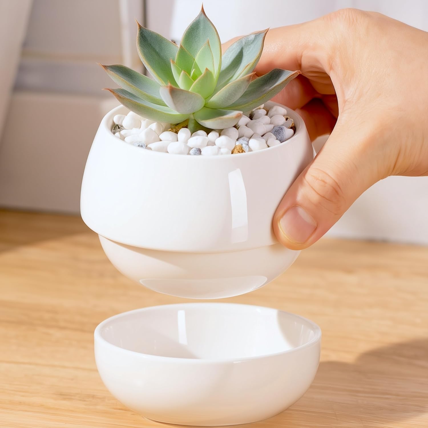 Small Ceramic Succulent Pot with Drainage Tray