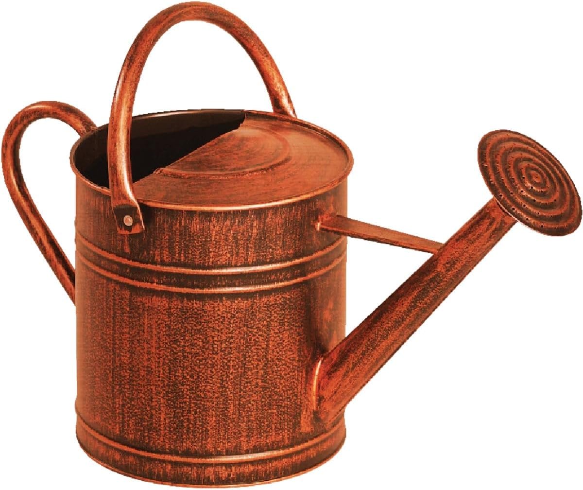 Metal Watering Can 2 Gallon
