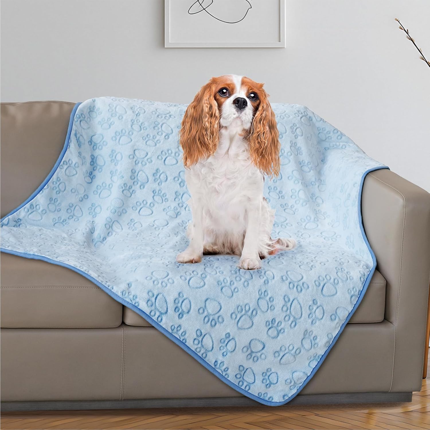 Premium Soft Dog and Cat Blanket with Paw Print, 42x66 inches