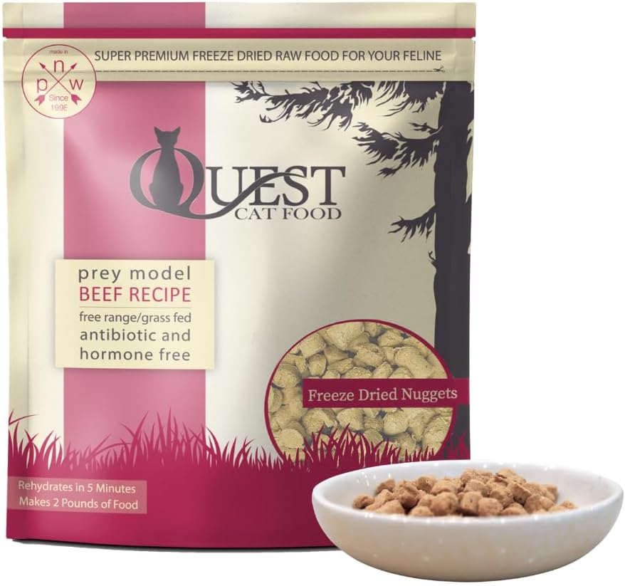 Freeze-Dried Raw Bite-Sized Nuggets for cats